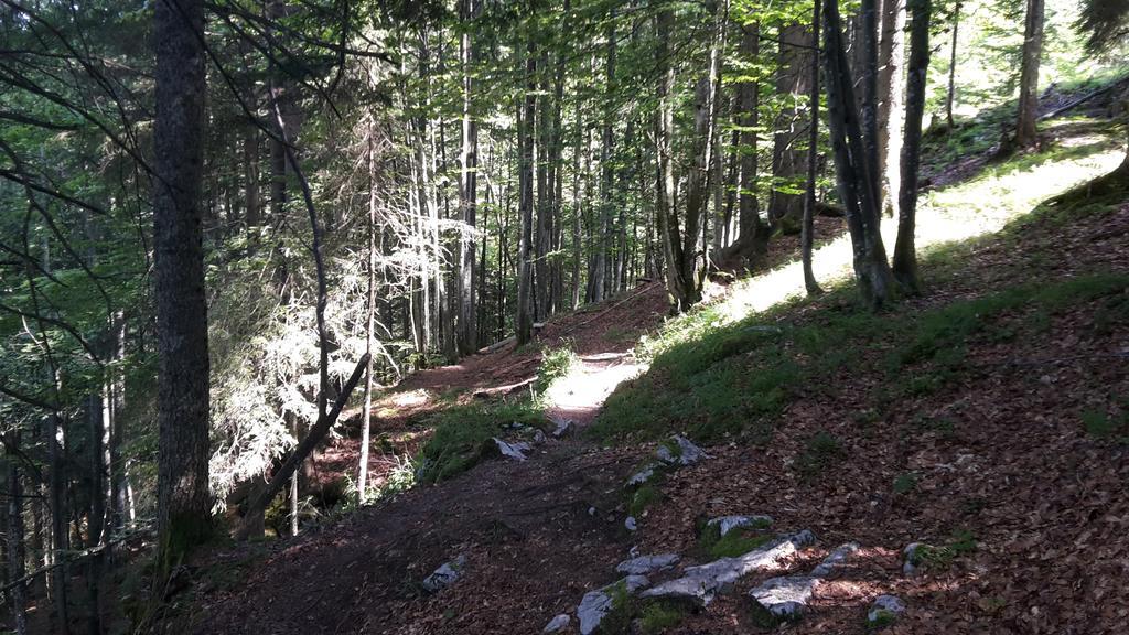Postalm Lodge Seidegg Exteriör bild